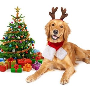 Bois de renne et écharpe de noël – Accessoire tête pour chien – rouge