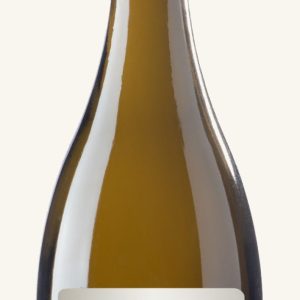 Chardonnay de la Côte des Bar             Champagne Millésime 2004