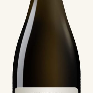 À l&rsquo;Aube de la Côte des Bar             Champagne Millésime 2005