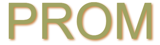 Accessoires femme chic : ceintures & bijoux en promotion | 40€ offerts