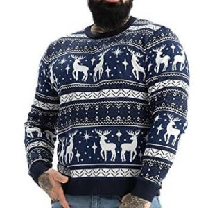 Renne Festif – Bleu Nocturne avec Étoiles Scintillantes – Pull Noël