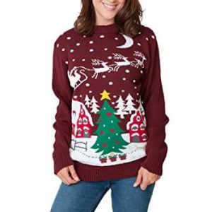 Survol Enchanté – Père-Noël dans son Traineau – Pull de Noël